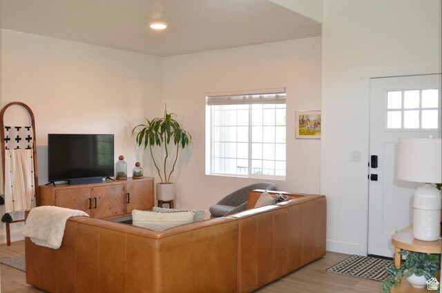4901 N Eagle Nest Ln, Lehi, UT 84043 - living room featuring light wood-type flooring, healthy amount of natural light, and baseboards