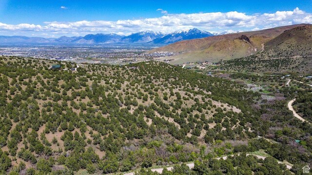 15201 S Shaggy Mountain Rd W, Herriman, UT 84096