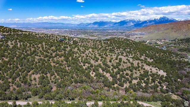 15201 S Shaggy Mountain Rd W, Herriman, UT 84096