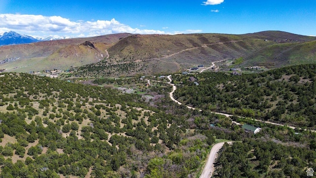 15201 S Shaggy Mountain Rd W, Herriman, UT 84096
