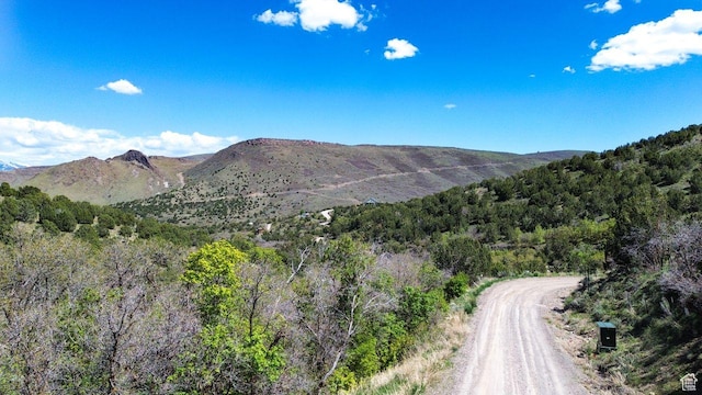 15201 S Shaggy Mountain Rd W, Herriman, UT 84096