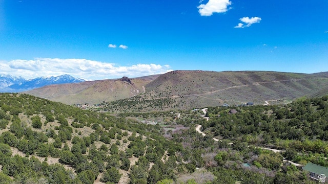15201 S Shaggy Mountain Rd W, Herriman, UT 84096