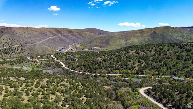 15201 S Shaggy Mountain Rd W, Herriman, UT 84096