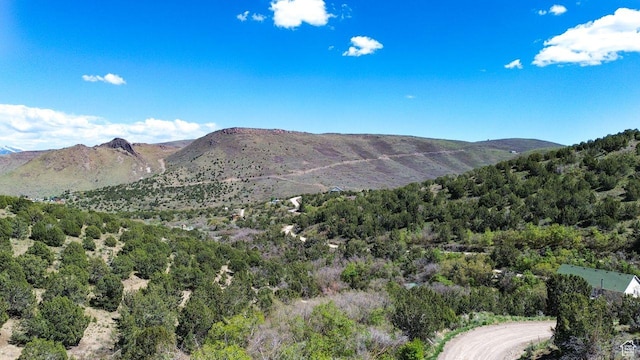 15201 S Shaggy Mountain Rd W, Herriman, UT 84096
