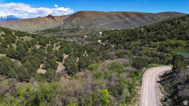 15201 S Shaggy Mountain Rd W, Herriman, UT 84096