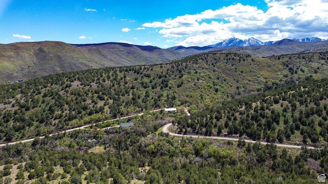 15201 S Shaggy Mountain Rd W, Herriman, UT 84096