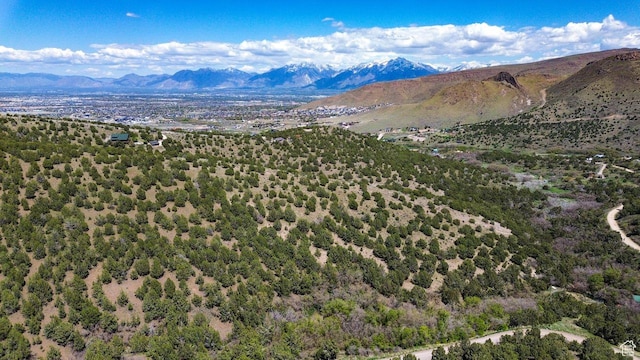 15201 S Shaggy Mountain Rd W, Herriman, UT 84096