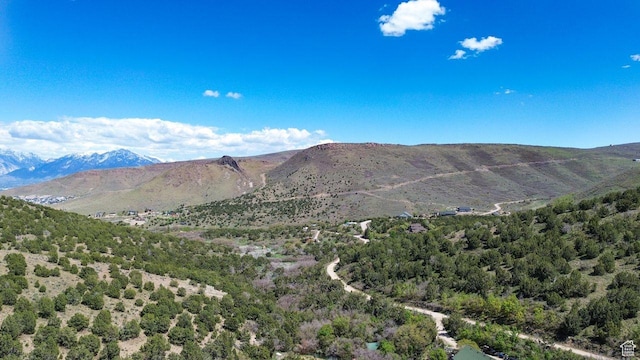 15201 S Shaggy Mountain Rd W, Herriman, UT 84096