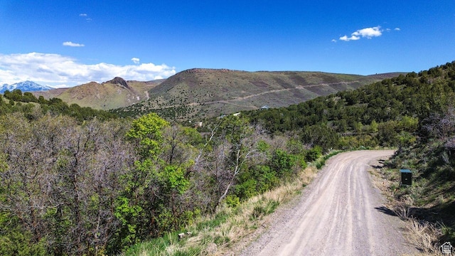 15201 S Shaggy Mountain Rd W, Herriman, UT 84096