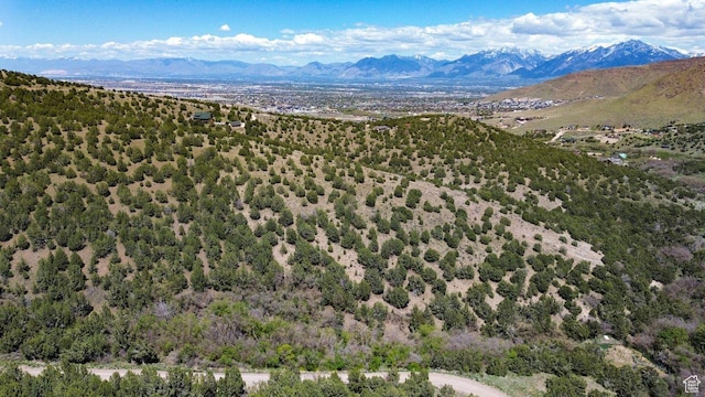 15201 S Shaggy Mountain Rd W, Herriman, UT 84096