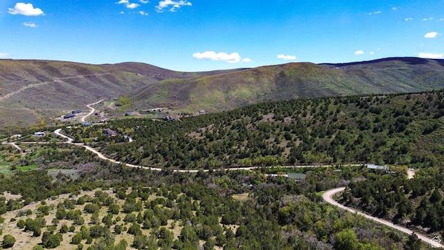 15201 S Shaggy Mountain Rd W, Herriman, UT 84096