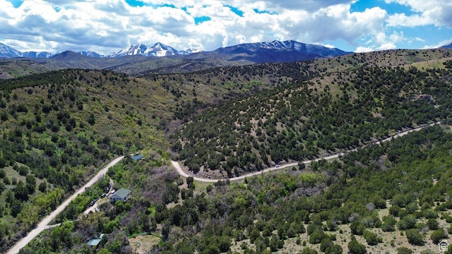 15201 S Shaggy Mountain Rd W, Herriman, UT 84096
