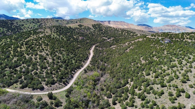 15201 S Shaggy Mountain Rd W, Herriman, UT 84096