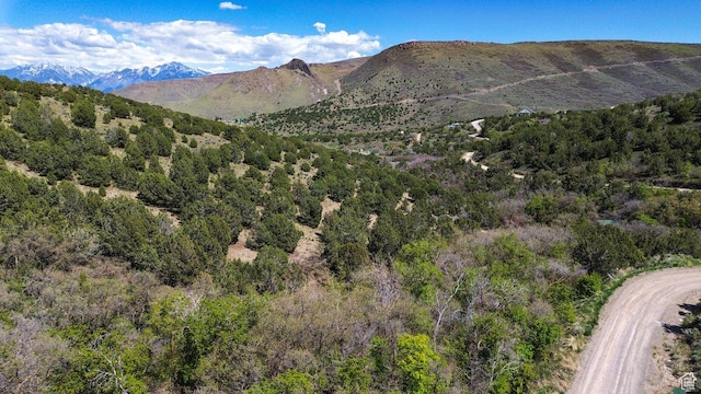 15201 S Shaggy Mountain Rd W, Herriman, UT 84096