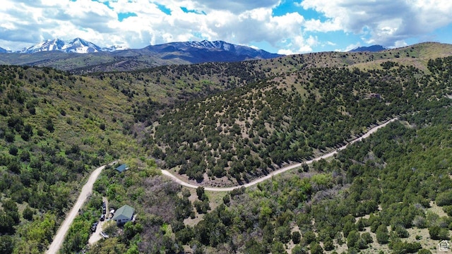 15201 S Shaggy Mountain Rd W, Herriman, UT 84096
