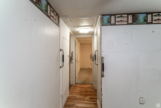 345 N Main St, Ivins, UT 84738 - corridor with light wood finished floors and attic access