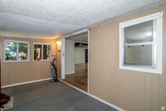 345 N Main St, Ivins, UT 84738 - unfurnished room featuring a textured ceiling, carpet flooring, wood walls, and baseboards