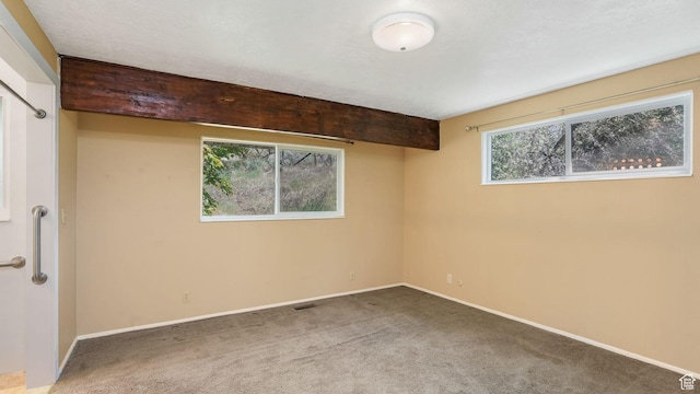 906 N Fort Canyon Rd, Alpine, UT 84004 - carpeted spare room with baseboards