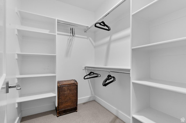 walk in closet featuring carpet flooring