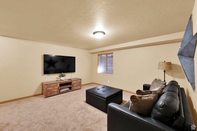 8135 S Clover Spring Ln E, Cottonwood Heights, UT 84121 - living area with baseboards, carpet floors, and a textured ceiling