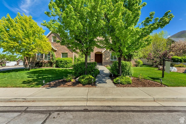 obstructed view of property with a front lawn and brick siding