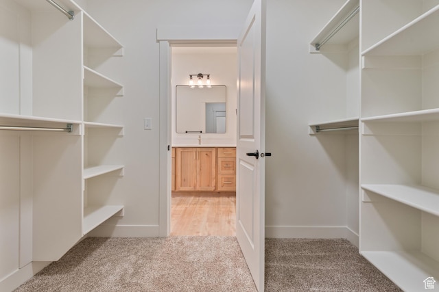 walk in closet featuring light colored carpet