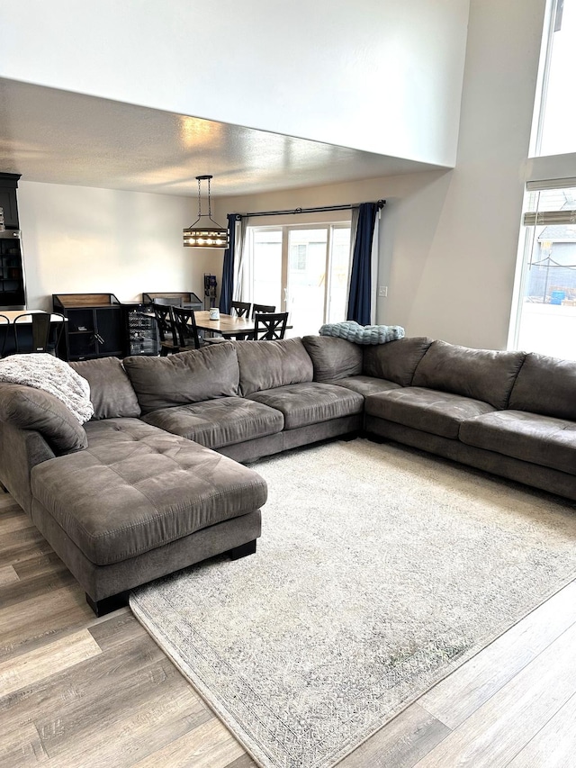 living room with wood finished floors and healthy amount of natural light