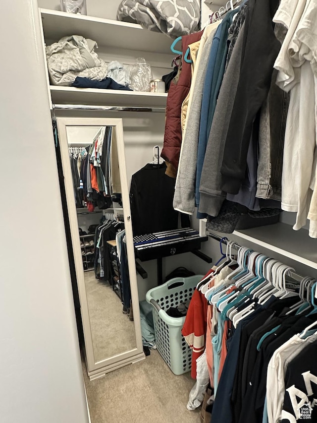 walk in closet with carpet floors