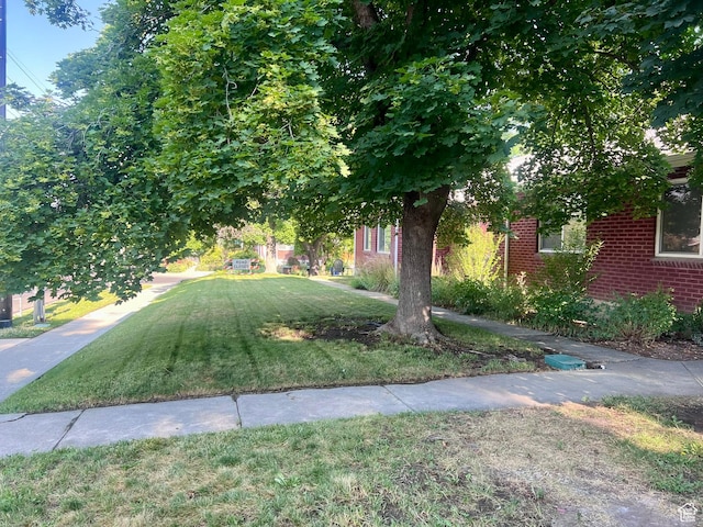 view of grassy yard