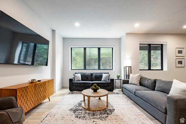 9335 N Canopy Ln E, Sundance, UT 84604 - living room featuring light wood-style floors and recessed lighting