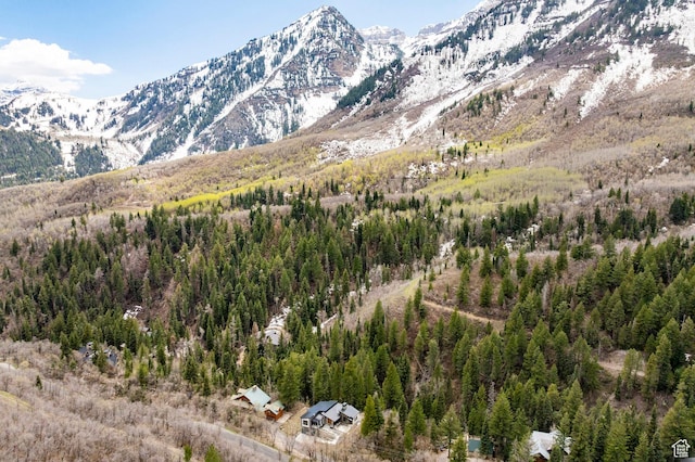 9335 N Canopy Ln E, Sundance, UT 84604 - view of mountain background featuring a forest
