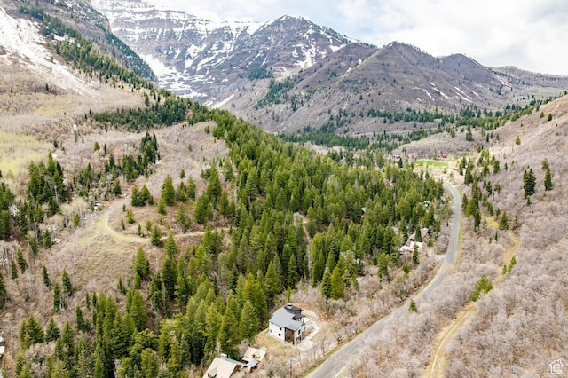9335 N Canopy Ln E, Sundance, UT 84604 - mountain view