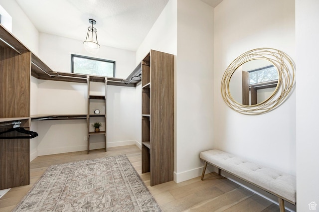 9335 N Canopy Ln E, Sundance, UT 84604 - walk in closet with light wood finished floors