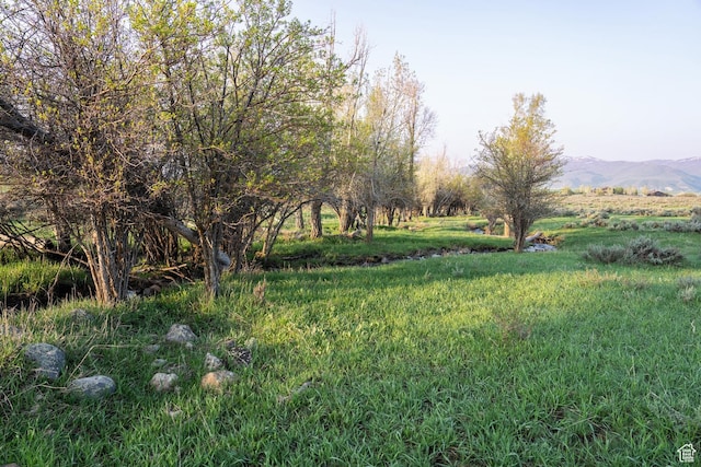1475 W 6000 N, Oakley, UT 84055