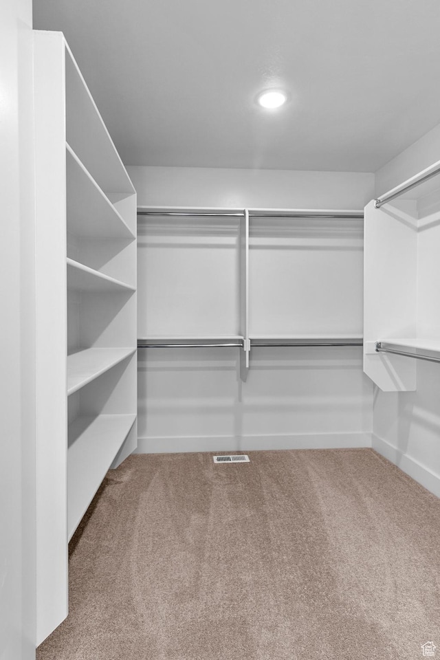 101 N 950 E Unit 36, Tremonton, UT 84337 - spacious closet with carpet