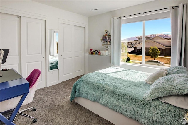 carpeted bedroom with two closets