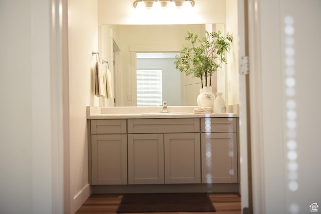 bathroom featuring wood finished floors and vanity