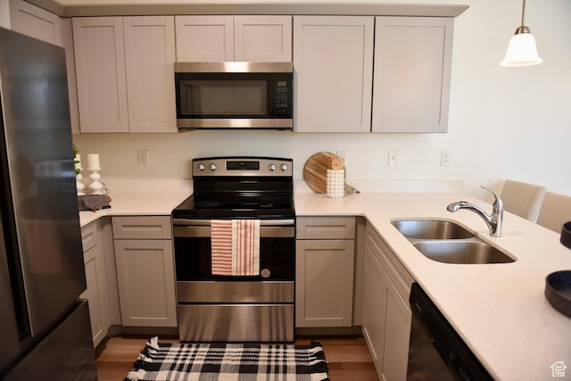 kitchen featuring stainless steel appliances, a sink, light wood-style flooring, light countertops, and gray cabinets