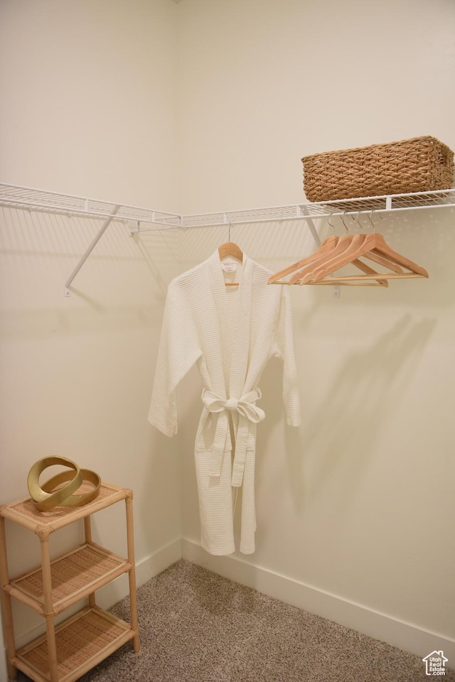 spacious closet featuring carpet flooring