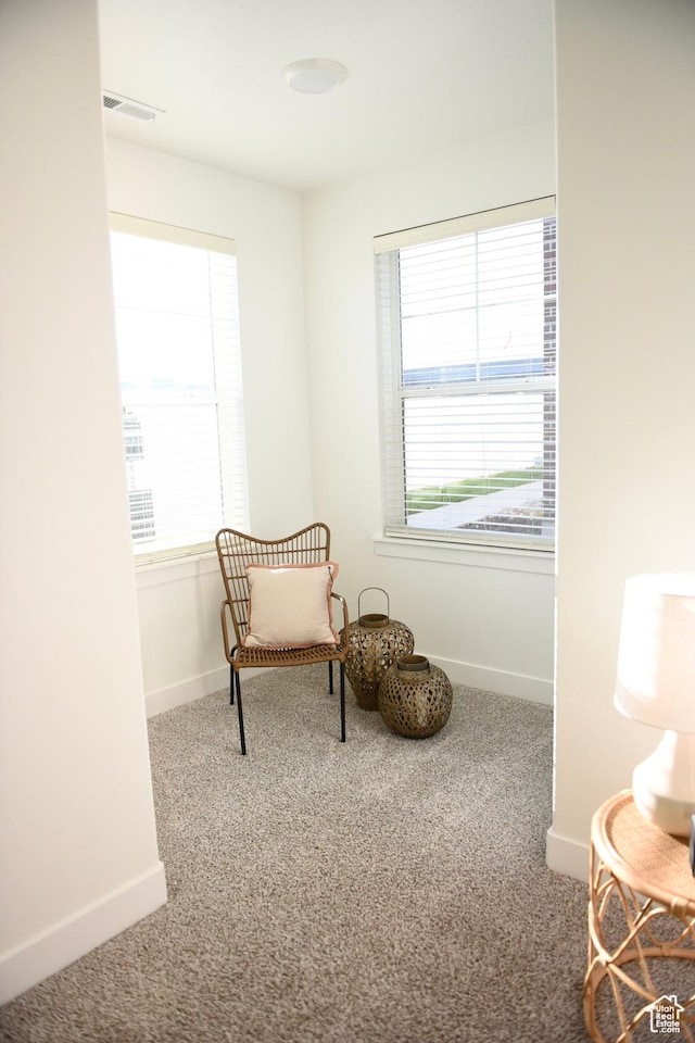 living area with carpet floors and baseboards