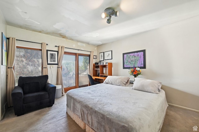 528 N Westcapitol St, Salt Lake City, UT 84103 - bedroom featuring carpet flooring and access to outside