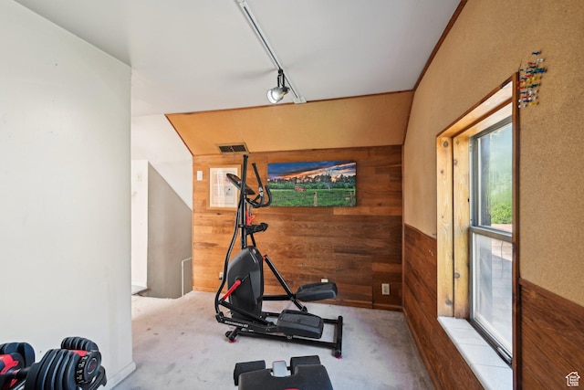 528 N Westcapitol St, Salt Lake City, UT 84103 - exercise room featuring wood walls and carpet flooring