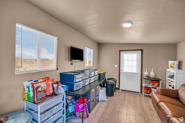 living area featuring light wood-style flooring
