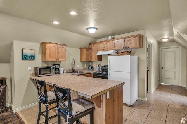kitchen featuring freestanding refrigerator, a sink, black / electric stove, stainless steel microwave, and under cabinet range hood