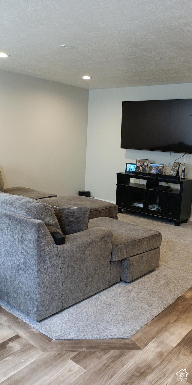 42 E 780 S, Ephraim, UT 84627 - living area featuring wood finished floors and recessed lighting