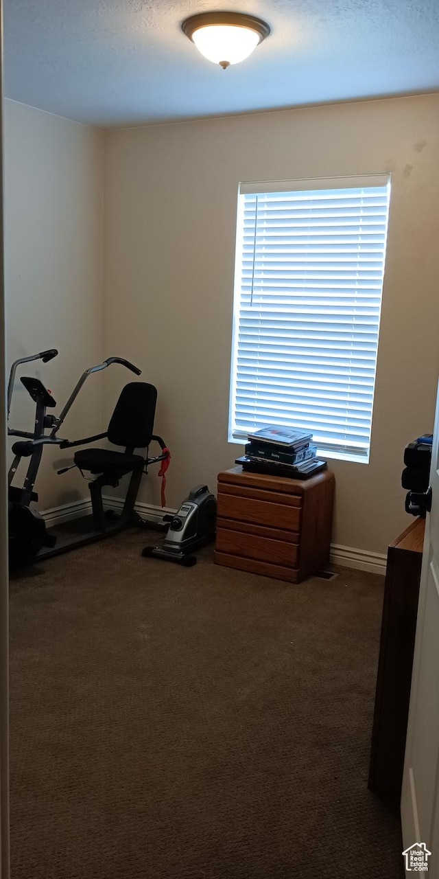 42 E 780 S, Ephraim, UT 84627 - workout room with carpet flooring and baseboards