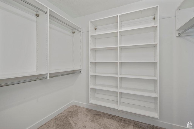 spacious closet featuring carpet flooring