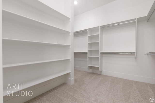 3855 S Kennedy Ln, Washington, UT 84780 - spacious closet with carpet