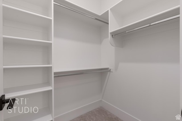 3855 S Kennedy Ln, Washington, UT 84780 - view of walk in closet