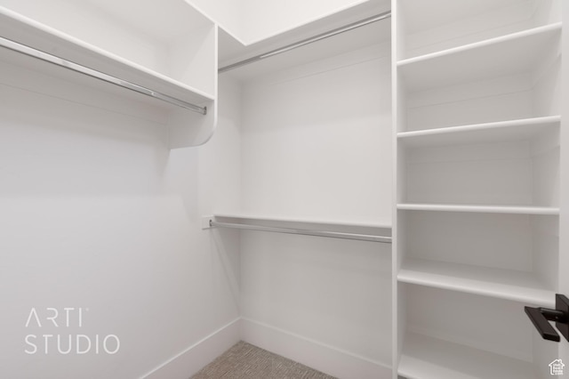 3855 S Kennedy Ln, Washington, UT 84780 - view of walk in closet